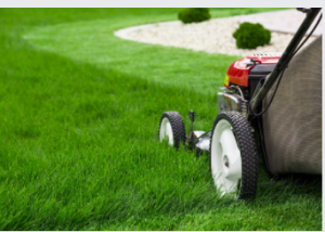 lawn mowing Adelaide